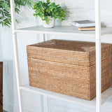 Rattan Rectangular Hinged Storage Chest