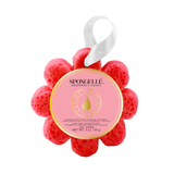 Wildflowers Assorted Pack | Unique Gifts | Made in USA
