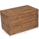 Rattan Rectangular Hinged Storage Chest