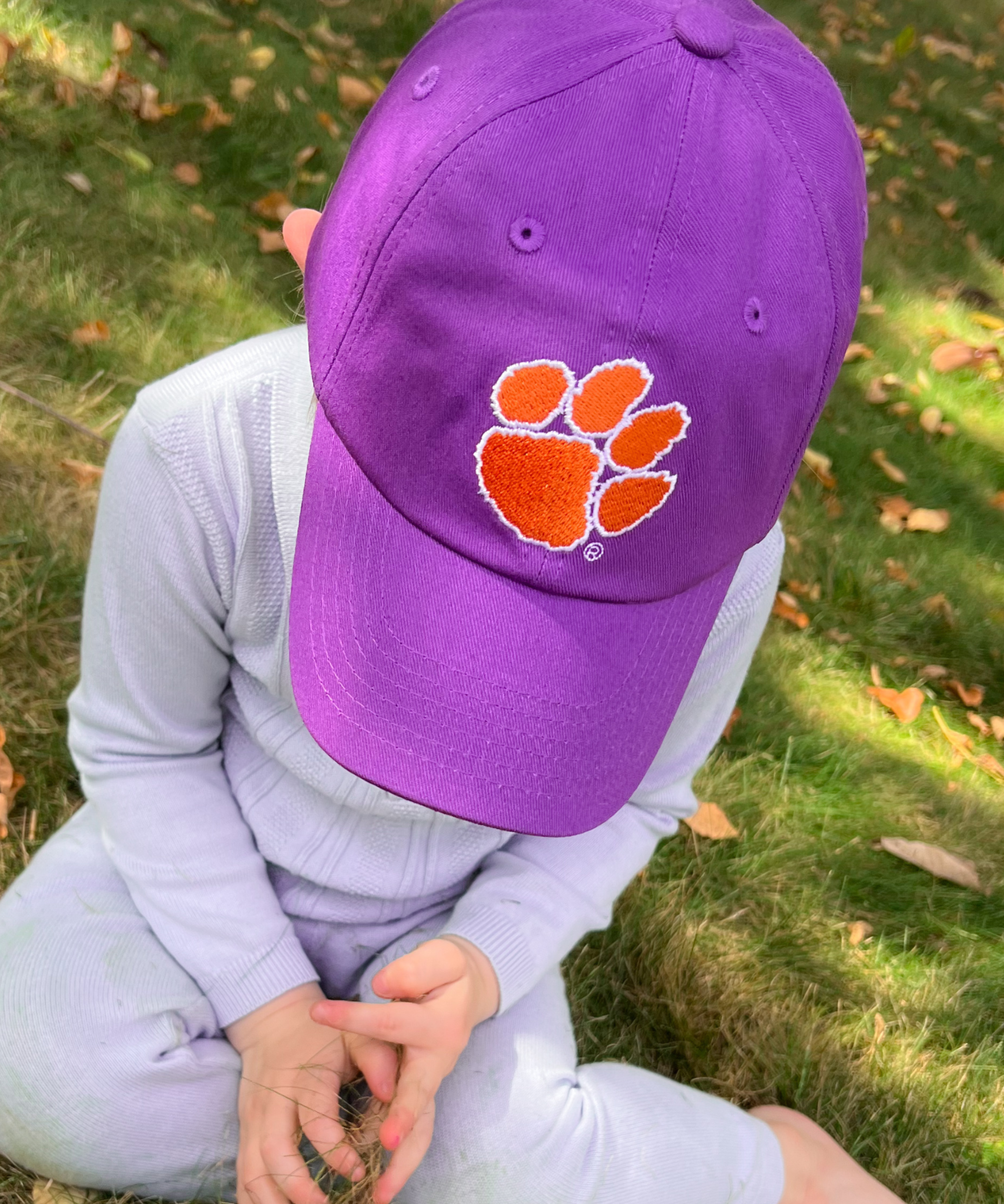 Clemson Tigers Baseball Hat