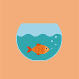 Gertie Goldfish