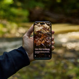 Calm x Soundscape - Pura Smart Scent Refill