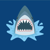 Shorty Shark