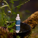 Calm x Soundscape - Pura Smart Scent Refill