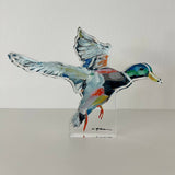 Take Flight Mallard Duck Acrylic WHOLESALE