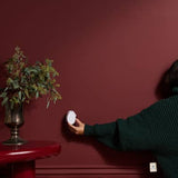 Noel by Unify Co. - Pura Home Diffuser Scent Refill