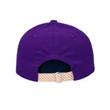 Clemson Tigers Baseball Hat